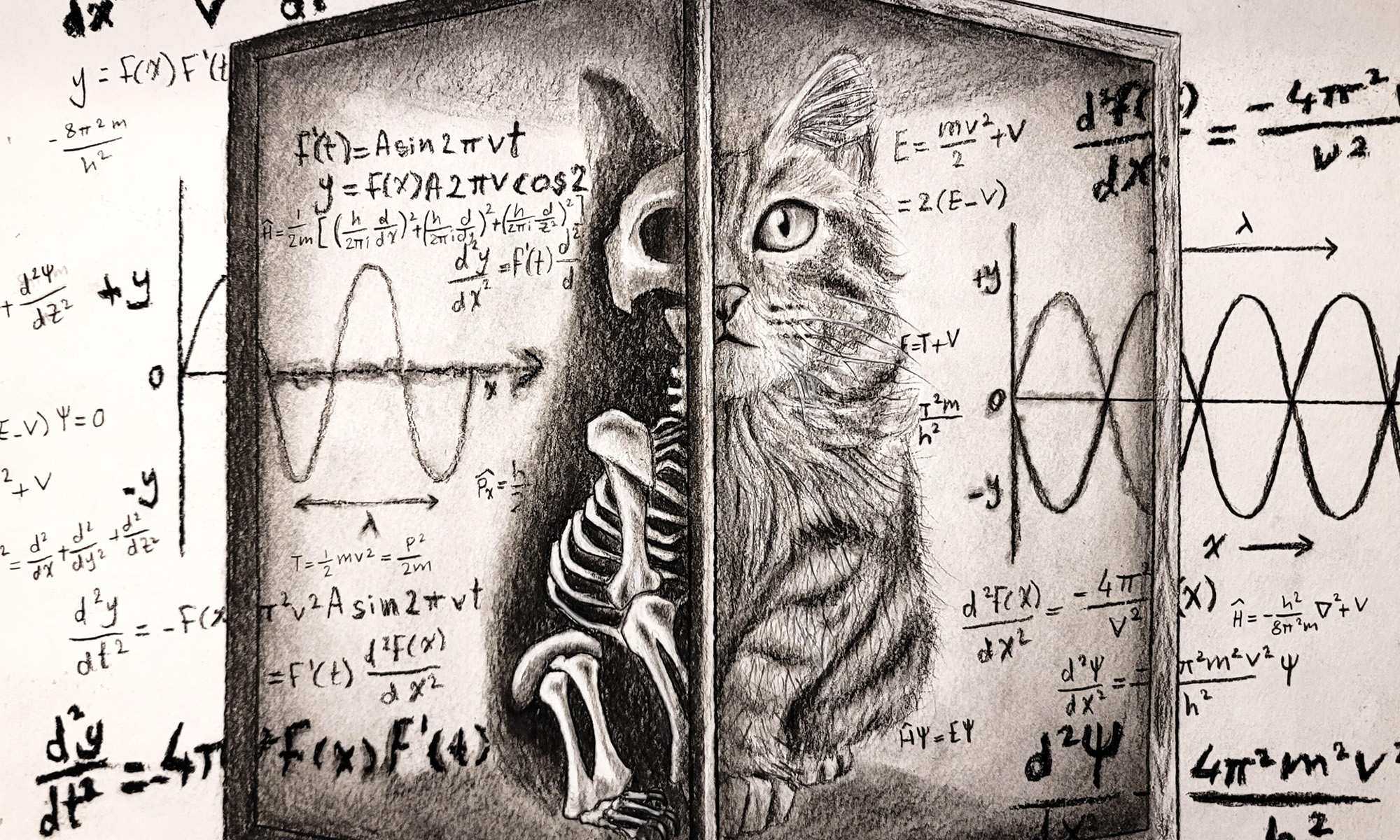 Feature image Illustration of Schrödinger’s cat half alive and half skeletal in a box, surrounded by complex physics equations.